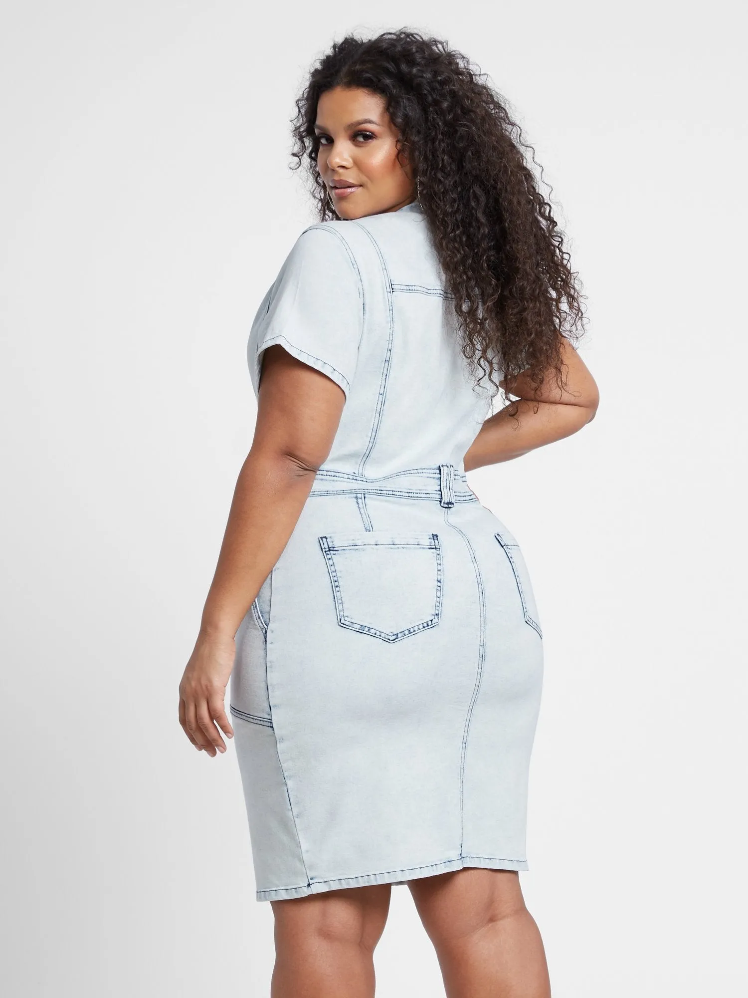 Jayden Button Front Denim Dress